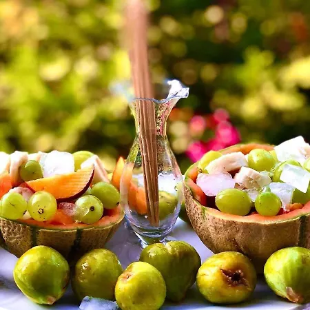 Don Carlo 4* טרופאה