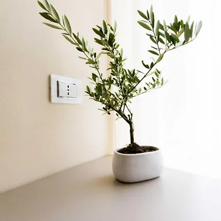 Don Carlo Gasthuis 4*