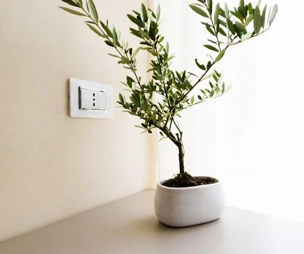 Don Carlo Pensjonat 4*